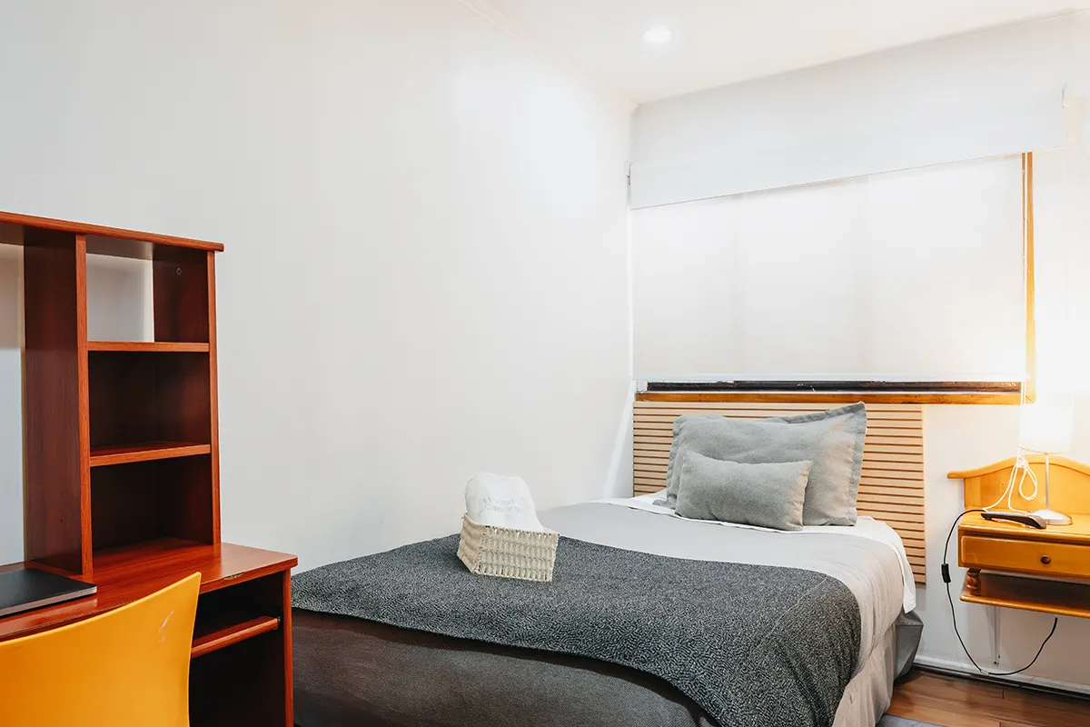 invividual-estandar-1